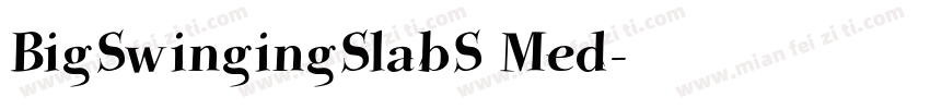 BigSwingingSlabS Med字体转换